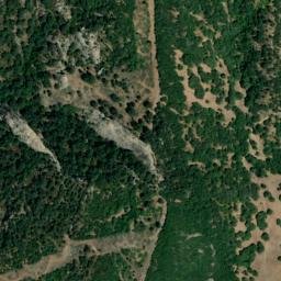 Satellite imagery of survey_point, DZ
