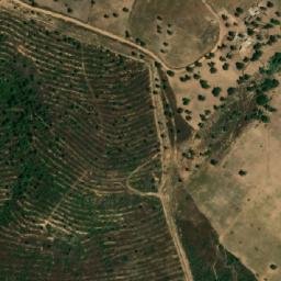 Satellite imagery of Djebel Bou Mrega, DZ