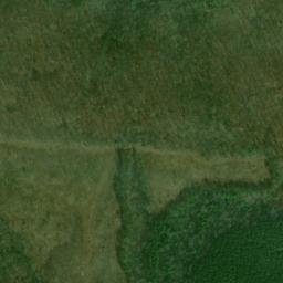 Satellite imagery of Hurricane Ridge, US