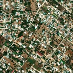 Satellite imagery of survey_point, DZ