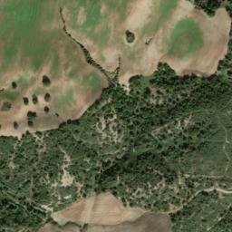 Satellite imagery of survey_point, DZ