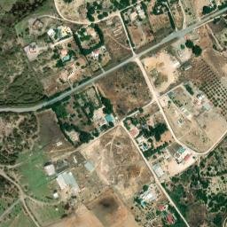 Satellite imagery of survey_point, DZ