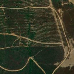 Satellite imagery of Selma, DZ