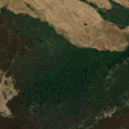 Satellite imagery of Selma, DZ