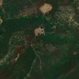 Satellite imagery of Selma, DZ