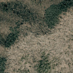 Satellite imagery of Hampton Ridge, US