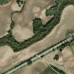 Satellite imagery of survey_point, DZ