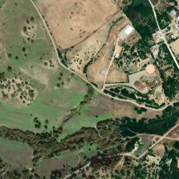 Satellite imagery of survey_point, DZ