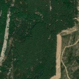 Satellite imagery of survey_point, DZ