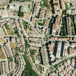 Satellite imagery of survey_point, DZ