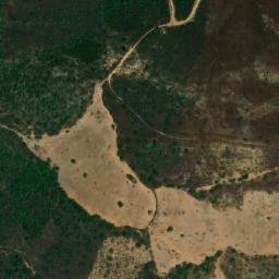 Satellite imagery of Selma, DZ