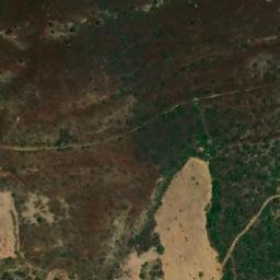 Satellite imagery of Selma, DZ