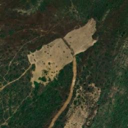 Satellite imagery of Selma, DZ
