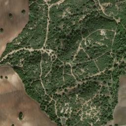 Satellite imagery of survey_point, DZ