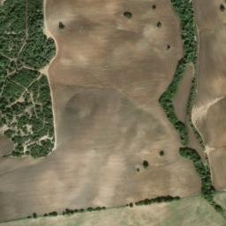Satellite imagery of survey_point, DZ