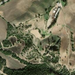 Satellite imagery of survey_point, DZ