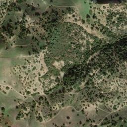 Satellite imagery of survey_point, DZ