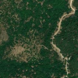 Satellite imagery of survey_point, DZ