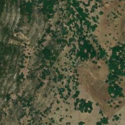 Satellite imagery of survey_point, DZ