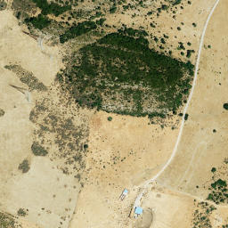Satellite imagery of survey_point, DZ