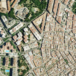 Satellite imagery of survey_point, DZ