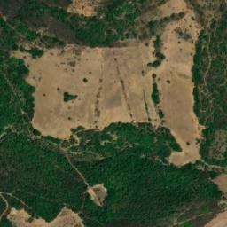 Satellite imagery of Selma, DZ