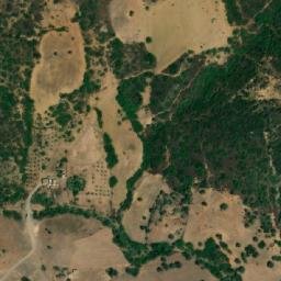Satellite imagery of Selma, DZ