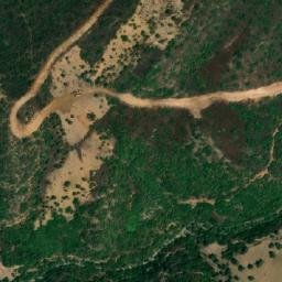 Satellite imagery of Selma, DZ