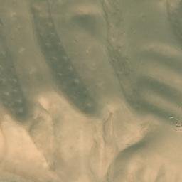 Satellite imagery of Z̄umrad, AF