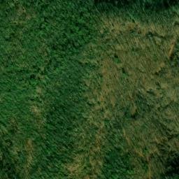 Satellite imagery of Bear Wallow Mine, US