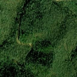 Satellite imagery of Buck Ridge, US