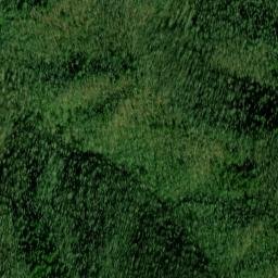 Satellite imagery of Buck Ridge, US