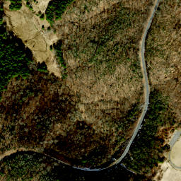 Satellite imagery of Alligator Back, US