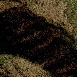 Satellite imagery of Wildcat Rock, US