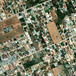 Satellite imagery of survey_point, DZ