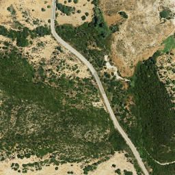 Satellite imagery of survey_point, DZ