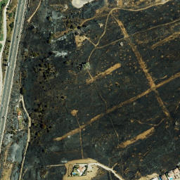 Satellite imagery of survey_point, DZ