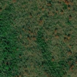 Satellite imagery of Tar Kiln Ridge, US