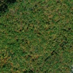 Satellite imagery of Stone Mountain, US