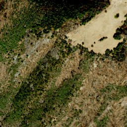Satellite imagery of Alligator Back, US