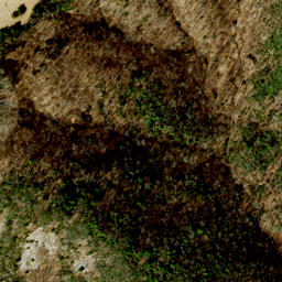 Satellite imagery of Alligator Back, US