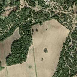 Satellite imagery of survey_point, DZ