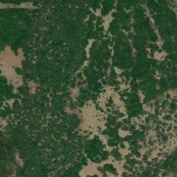 Satellite imagery of survey_point, DZ