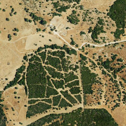 Satellite imagery of survey_point, DZ