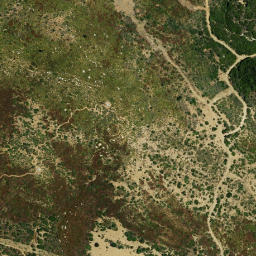 Satellite imagery of survey_point, DZ