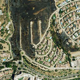 Satellite imagery of survey_point, DZ