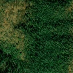 Satellite imagery of Bear Wallow Mine, US
