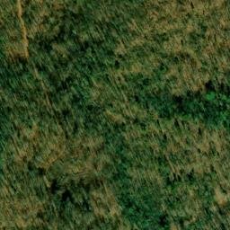 Satellite imagery of Bear Wallow Mine, US