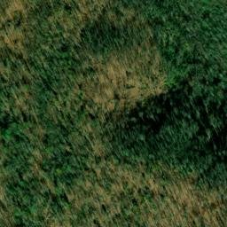 Satellite imagery of Bear Wallow Mine, US