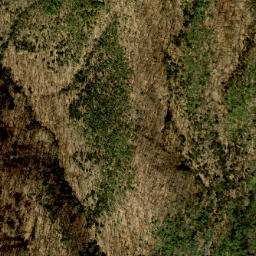 Satellite imagery of Alligator Back, US